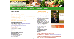 Desktop Screenshot of davidsnieckus.com
